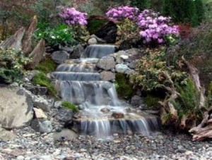 Colorscapes Water Features 46